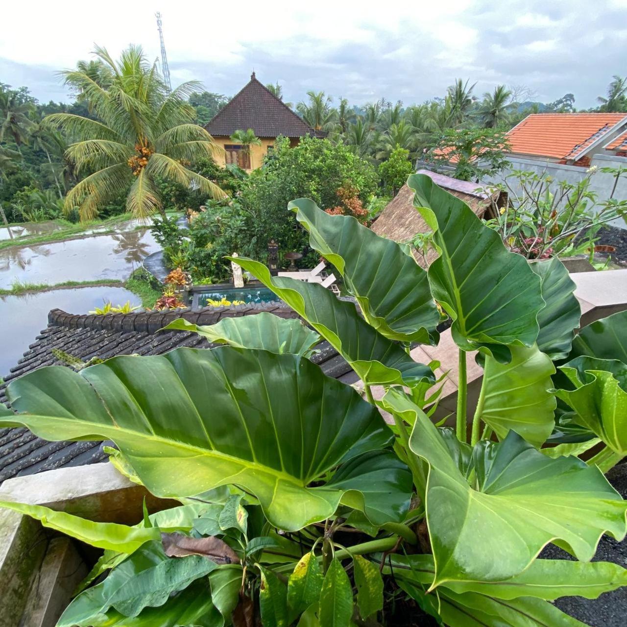 Dukuh Village Villas & Art Тегаллаланг Номер фото